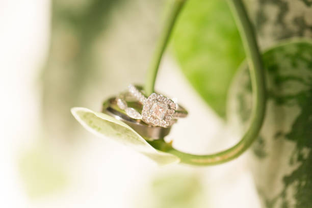 istock Wedding Rings on a Pothos Plant 1157257849