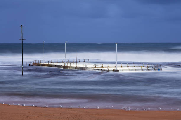 istock Tidal Pool, Sydney, Australia 1157265772