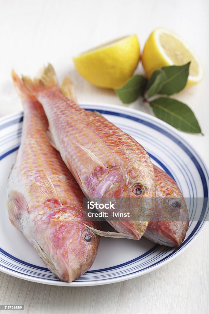 Three raw goatfishes Three raw goatfishes on the plate before cooking Goatfish Stock Photo