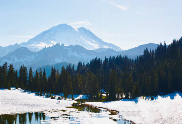 istock Mountain Rainier in Summertime 1157266022