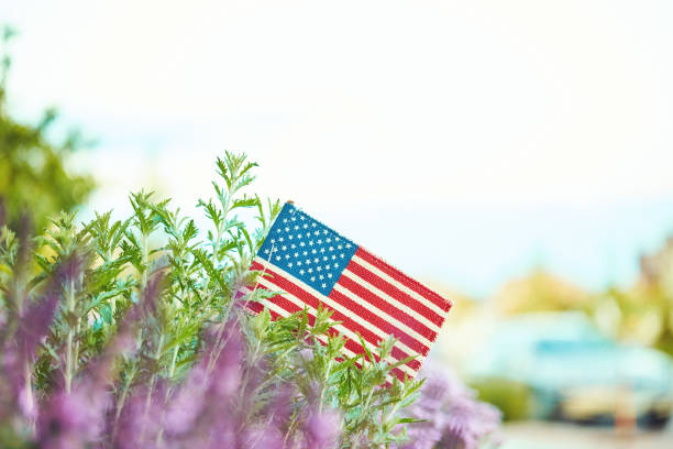 istock American flag in nature with copy space 1157270882