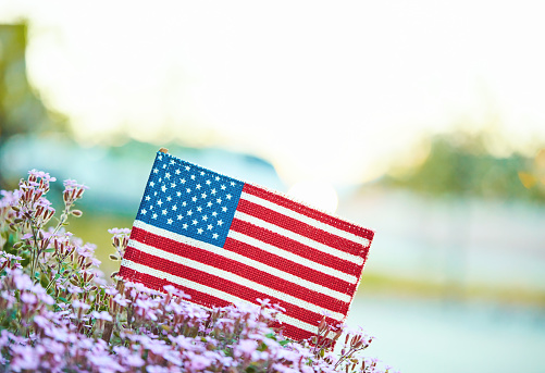 American flag in nature with copy space