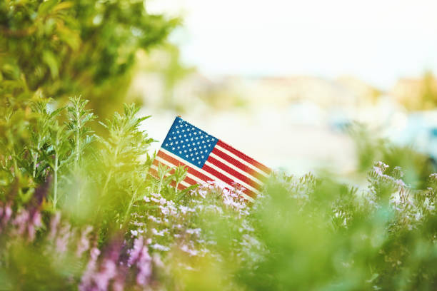 istock American flag in nature with copy space 1157271483