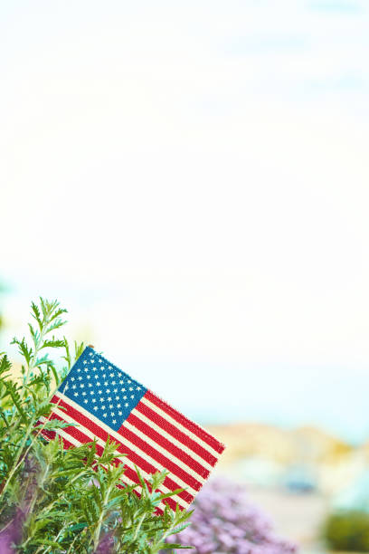 istock American flag in nature with copy space 1157271484