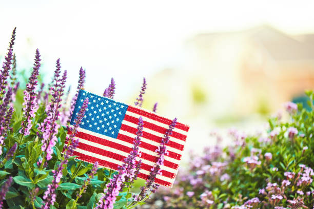 American flag in nature with copy space