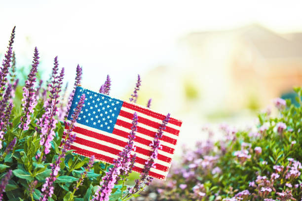 American flag in nature with copy space American flag in nature with copy space american flag flowers stock pictures, royalty-free photos & images