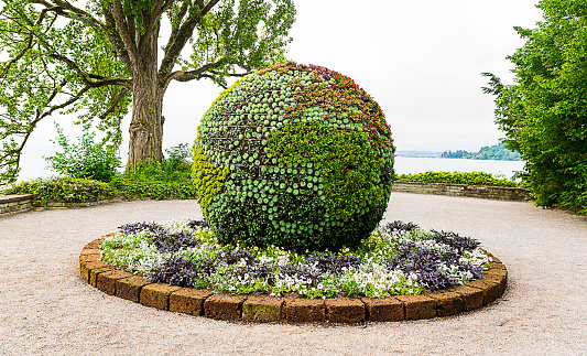A globe of cactuses and plants