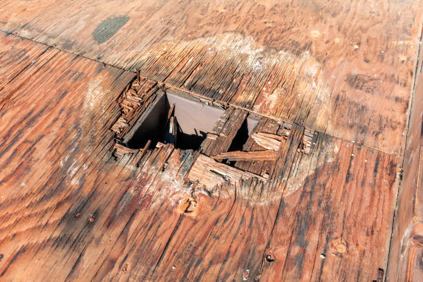 istock Plywood decking damage and water stains from rainwater 1157271876