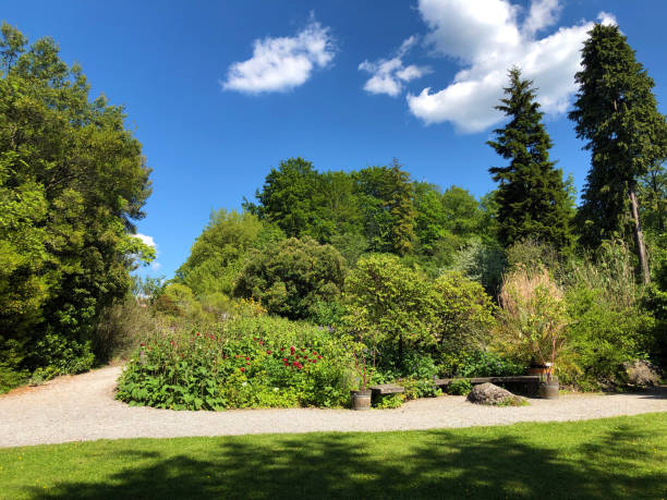 istock Botanical Garden Zurich, Switzerland 1157272677