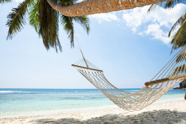 istock Hammock On Anse Baleine, Mahe Island, Seychelles 1157272926