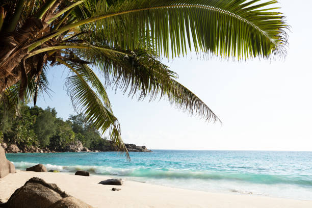 istock Idyllic View Of Sea At Beach 1157273783
