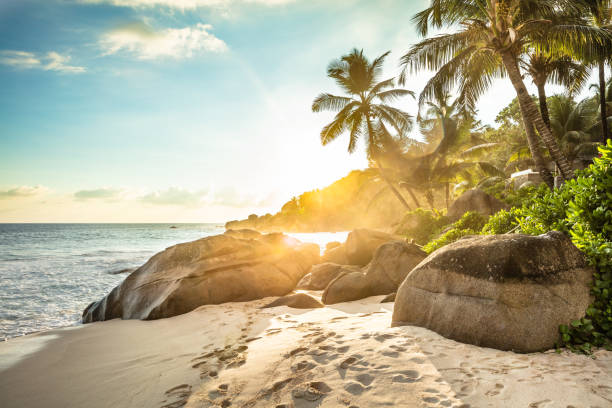 istock Sunset At Anse Intendance, Mahe Island, Seychelles 1157273791