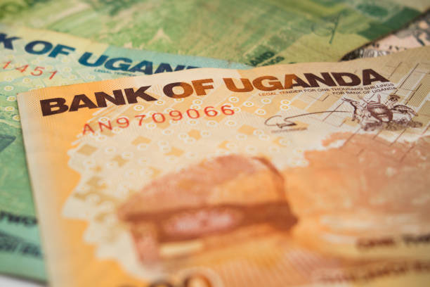 istock Banknotes of Uganda, Ugandan Shilling, close-up 1157273984