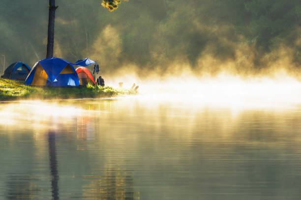 istock Camping and tent under the pine forest in sunset 1157274993