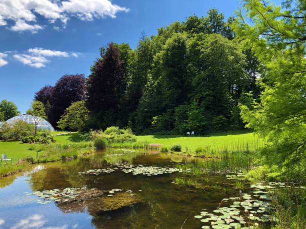 istock Botanical Garden Zurich, Switzerland 1157275114