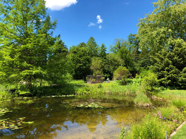 istock Botanical Garden Zurich, Switzerland 1157275165