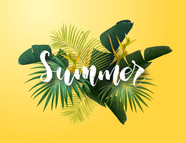 Summer tropical vector design for poster, banner or advertisment with exotic green palm leaves, flowers and handlettering on the bright background.
