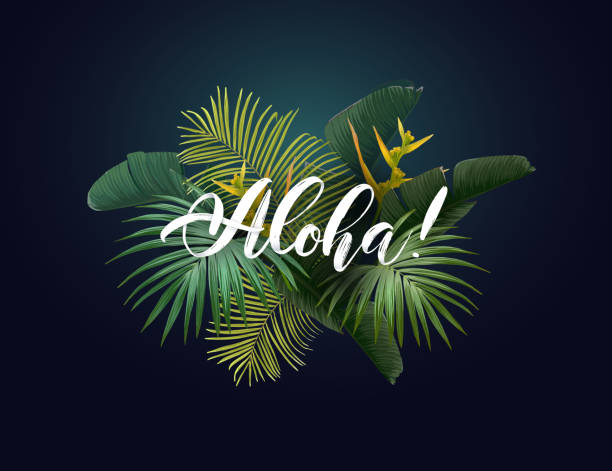 illustrations, cliparts, dessins animés et icônes de conception tropicale de vecteur avec les feuilles vertes exotiques de palmier, les fleurs et le handlettering sur le fond foncé. - hawaii islands big island beach hawaiian culture