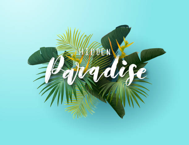 illustrations, cliparts, dessins animés et icônes de conception tropicale de vecteur d'été pour l'affiche, la bannière ou l'annonce avec les feuilles vertes exotiques de palmier, les fleurs et le handlettering sur le fond lumineux. - hawaii islands big island beach hawaiian culture