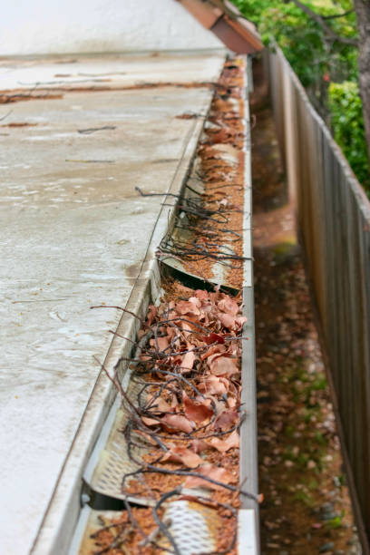 istock Roof gutter clogged with leaves and other debris 1157278303