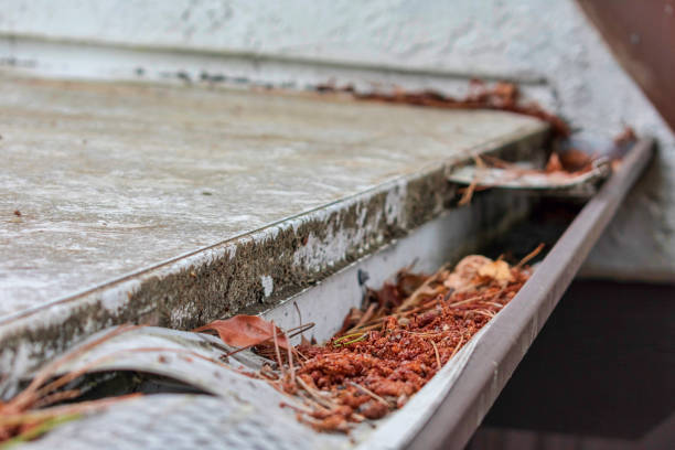 istock Roof gutter clogged with leaves and other debris 1157278310