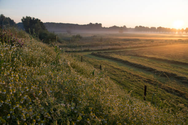 istock Daybreak scene in the country 1157280638
