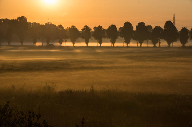 Daybreak scene over the country in the Limburg region