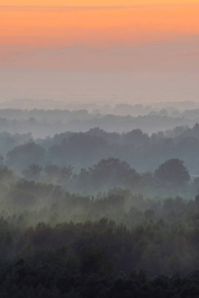 istock Mystical view from top on forest under haze at early morning. Mist among layers from tree silhouettes in taiga under warm predawn sky. Morning atmospheric minimalistic landscape of majestic nature. 1157281871