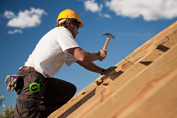 pessoa que constrói telhados - carpenter construction residential structure construction worker imagens e fotografias de stock