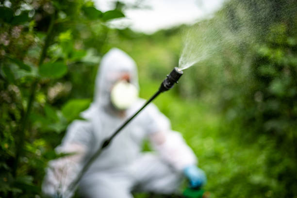 istock Pesticide spraying - protection 1157291206