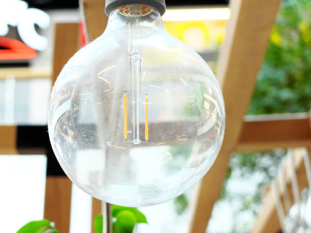 The large electric bulb hanging in the indoor garden. stock photo