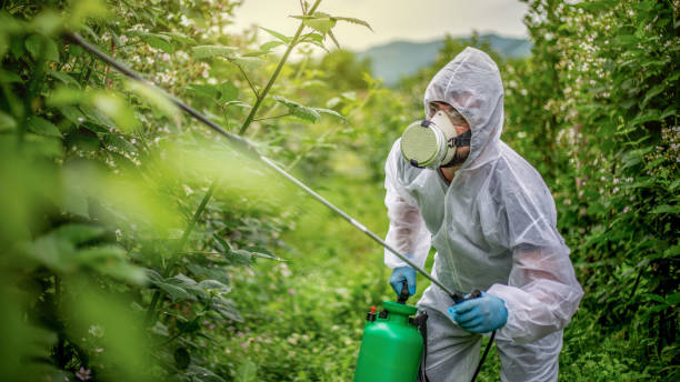 istock Pesticide spraying - protection 1157291428