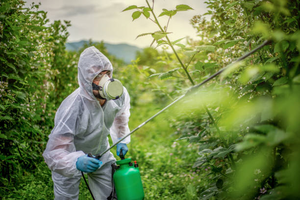 istock Pesticide spraying - protection 1157291478