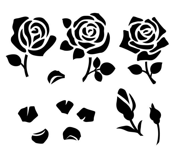 zestaw dekoracyjnej sylwetki kwiatu z pączkiem i liśćmi do wzornika. wektorowa róża i płatki - pączek etap rozwoju rośliny stock illustrations