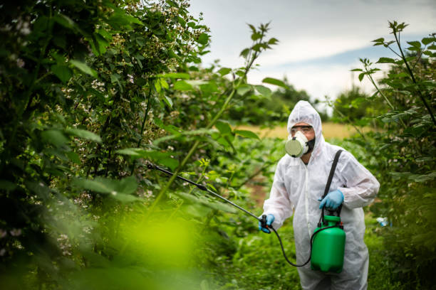 istock Pesticide spraying - protection 1157292487