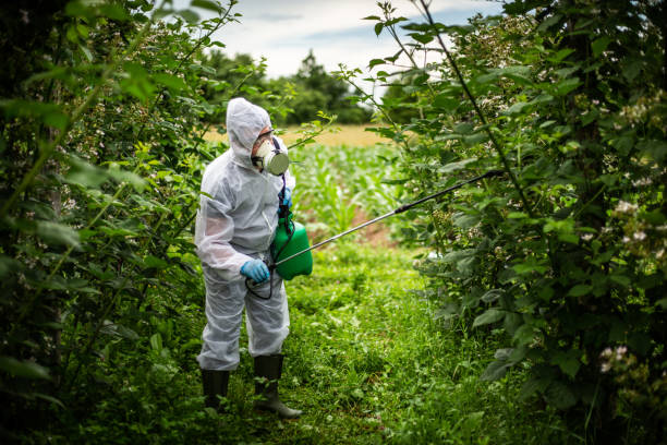 istock Pesticide spraying - protection 1157292516