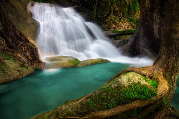 pha tad wasserfall. - erawan beauty in nature waterfall clean stock-fotos und bilder