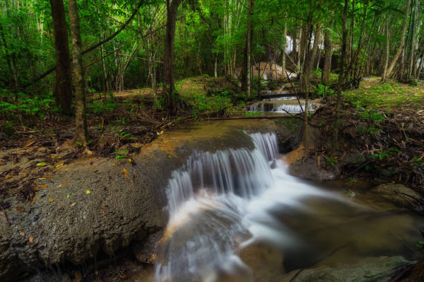 pha tad wasserfall. - erawan beauty in nature waterfall clean stock-fotos und bilder