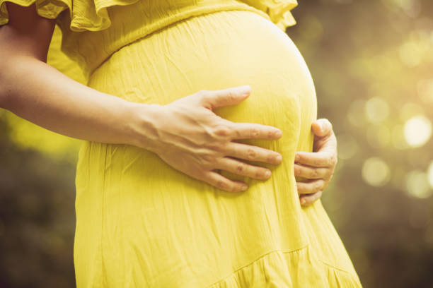 istock Growing a baby, what a beautiful gift. 1157294663