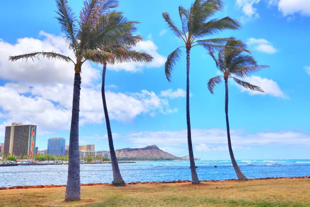 istock 6/2/2019 Beautiful Seaview at Ala Moana Beach Park in Hawaii 1157295505