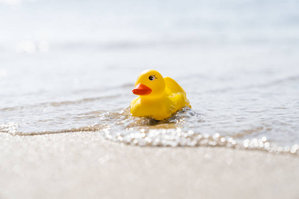istock Yellow rubber duck toy on the beach 1157296866