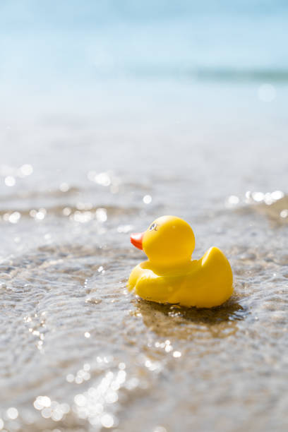 istock Yellow rubber duck toy on the beach 1157296867