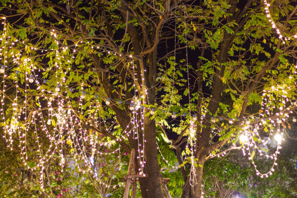 istock Decorative outdoor string lights hanging on tree in the garden at night time 1157298582