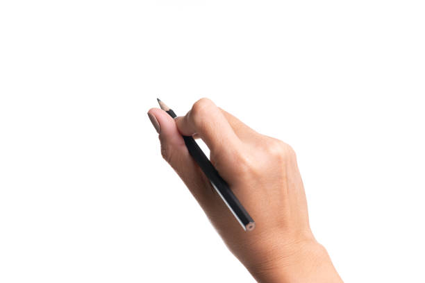 istock Woman hand holding pencil, writing, drawing, pointing isolated on white 1157298699