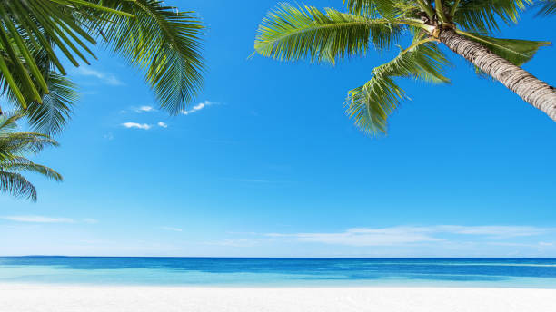 istock Tropical beach and blue sky copy space scene 1157303042