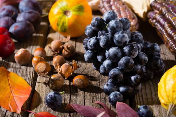 istock Autumn fruits 1157303046
