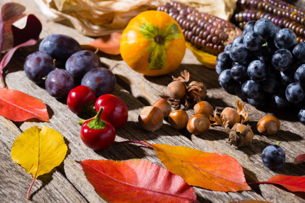 istock Autumn fruits 1157303438
