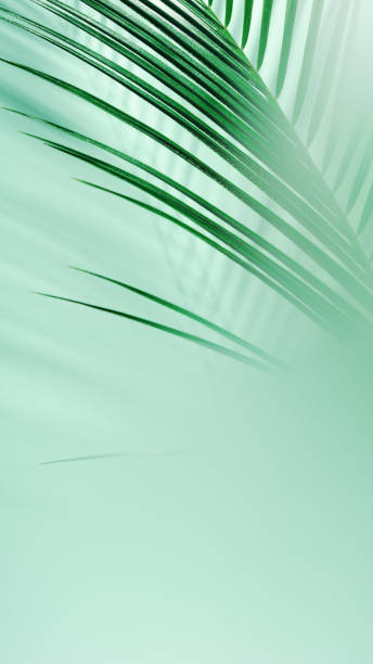 istock Palm tropical leaves on a green background in a haze. Summer background. Creative processing. 1157310670
