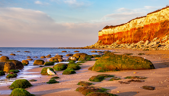 red cliffs of old hunstanton beach at sunset
