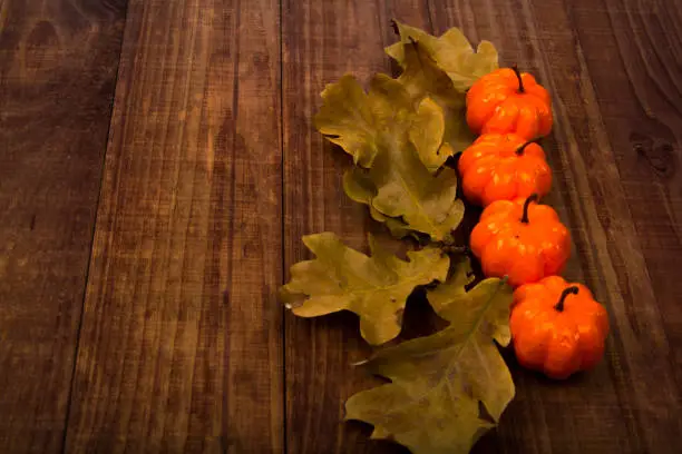 A Close Up of Several Small Pumpkins Lined up in a Row on Rustic Old Wooden Boards against Medium Brown Background with Copy Space